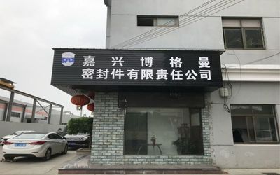 Chiny Jiaxing Burgmann Mechanical Seal Co., Ltd. Jiashan King Kong Branch profil firmy